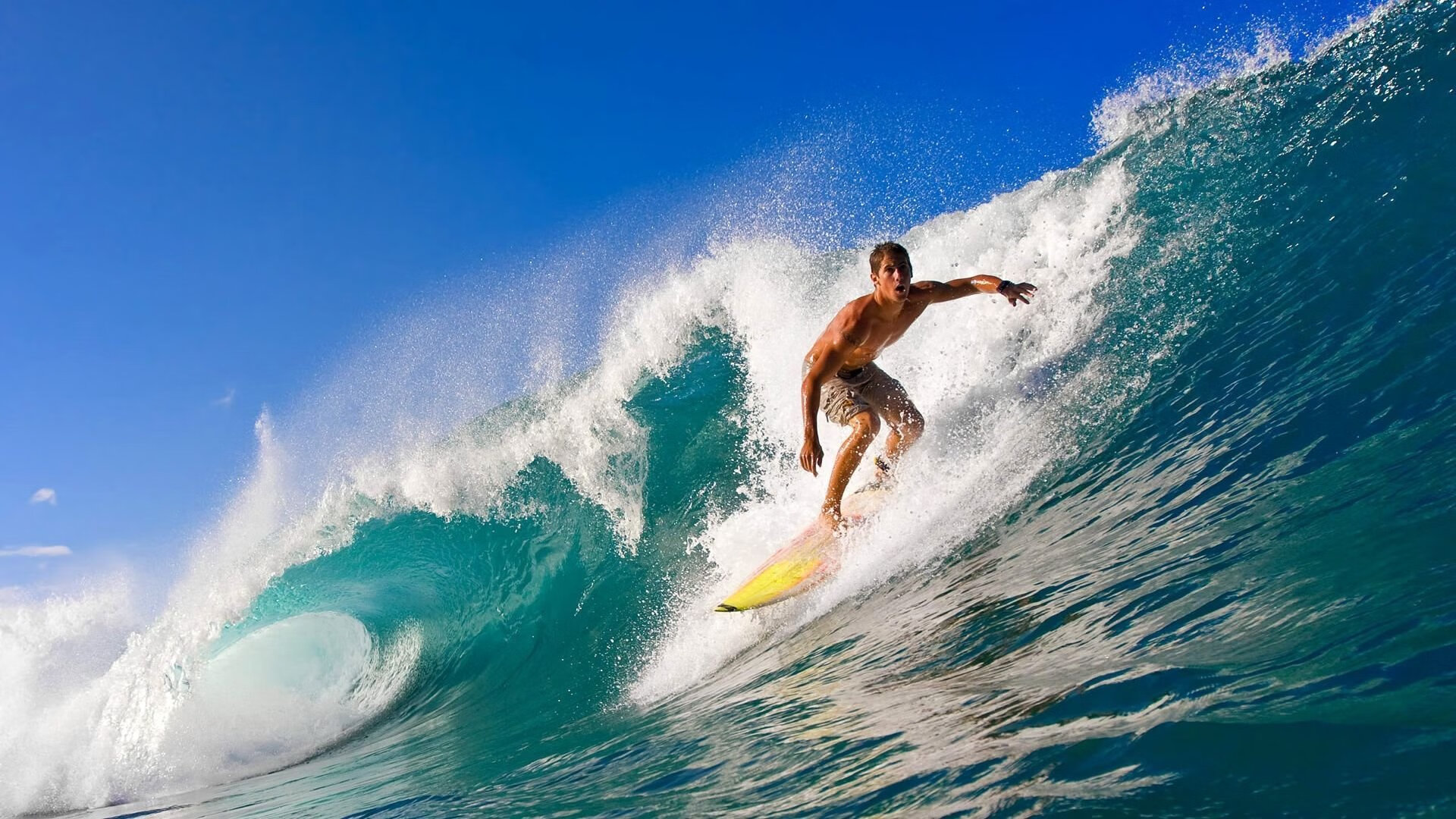 当密尔沃基雄鹿遇上新疆飞虎，一场跨越想象的篮球对话