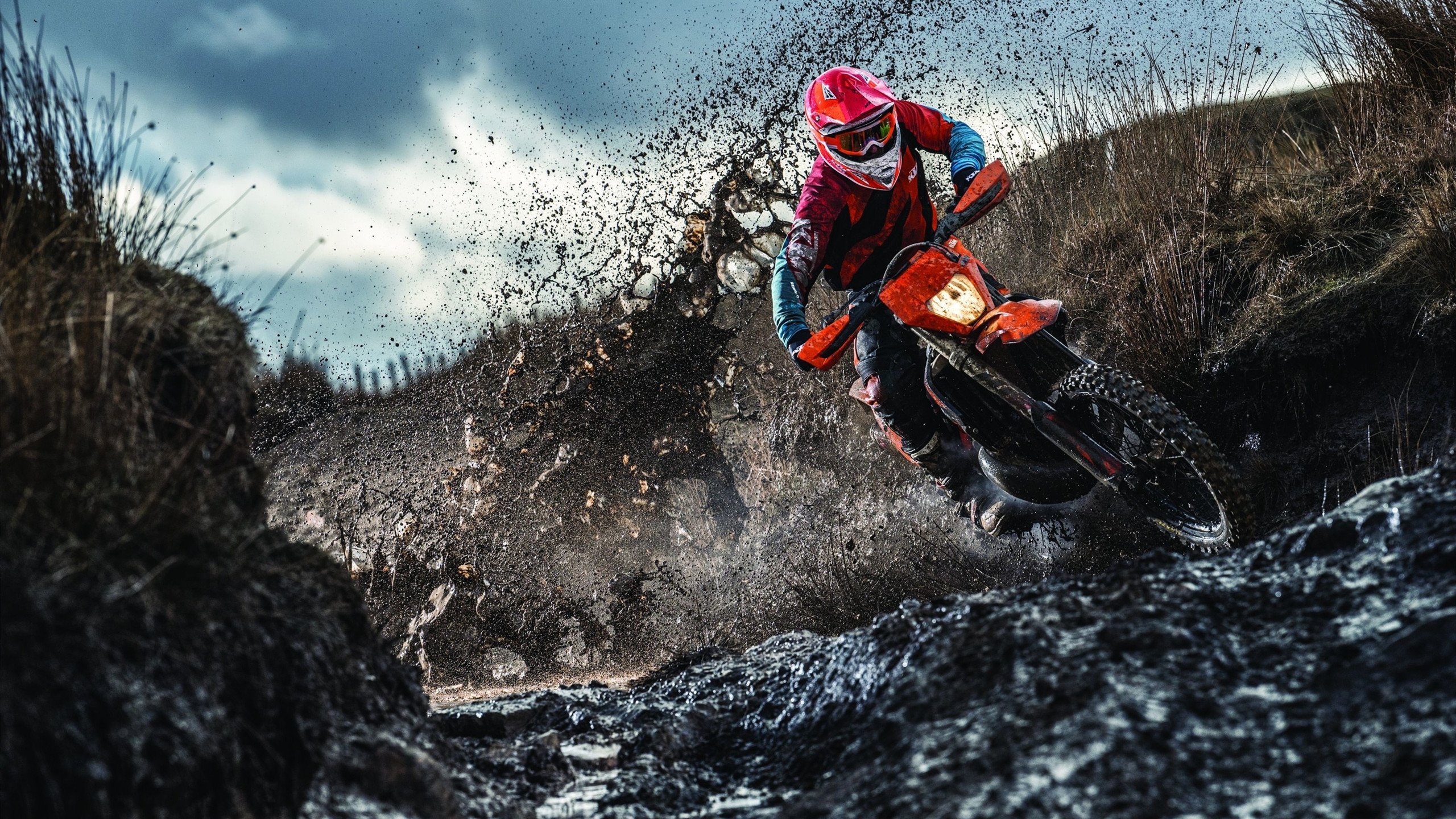 奥利维耶的黄昏独舞，当多特蒙德黄黑之魂点燃巴西之夜