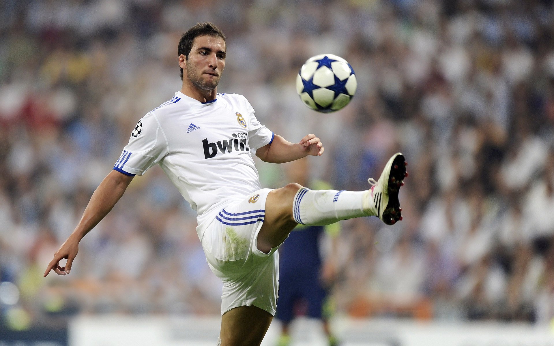 世界排名争夺战之夜，霍勒迪全程高能输出，铸就传奇